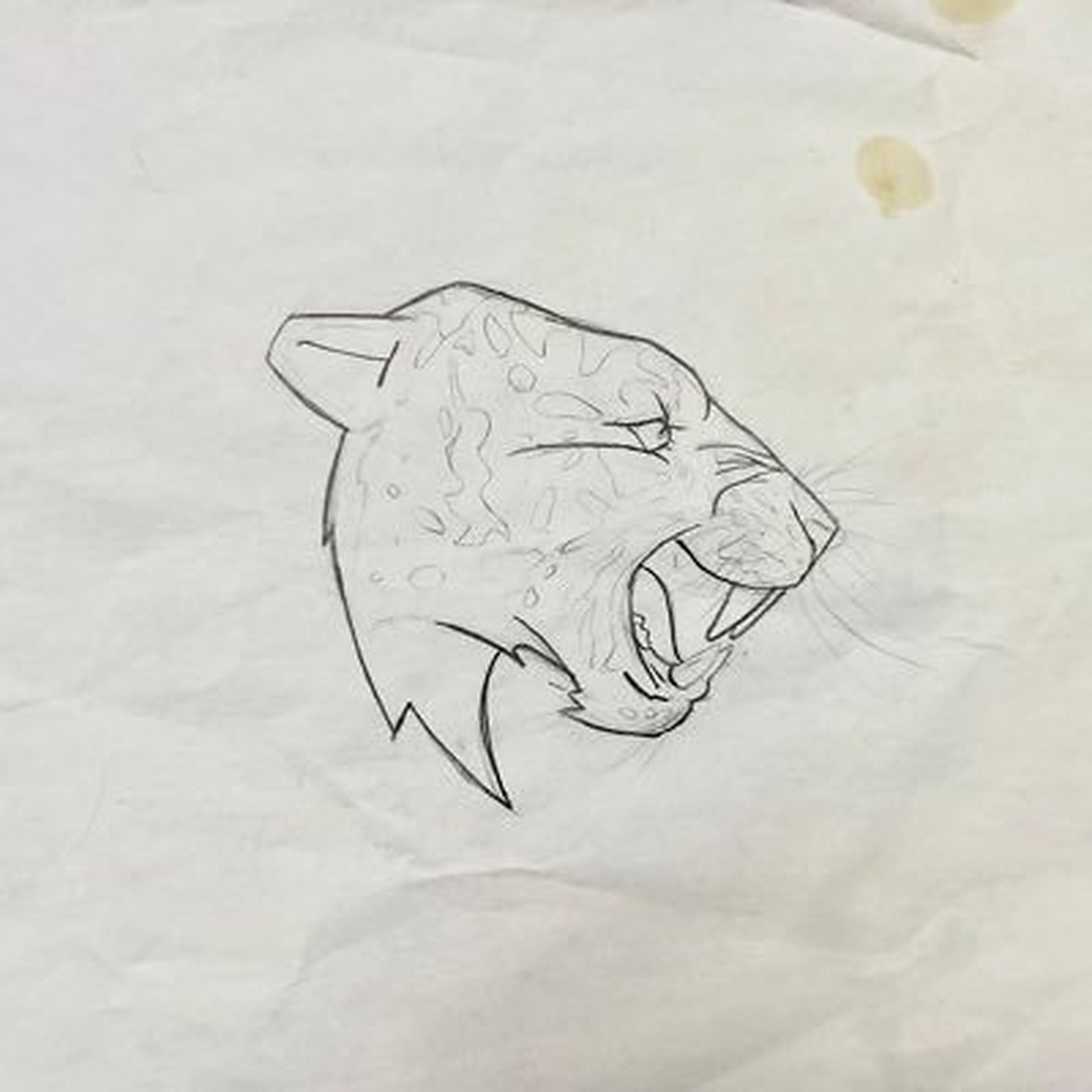 Beast Artifact Sketch